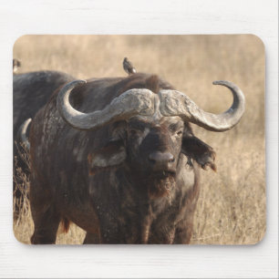 Tapis De Souris Africa - The ox with corne large
