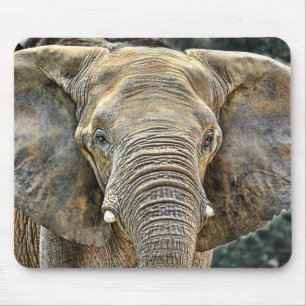 Tapis De Souris Africain d'éléphant toutes les oreilles