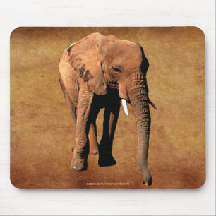 Tapis De Souris African Elephant Wildlife Supporter Mousepad