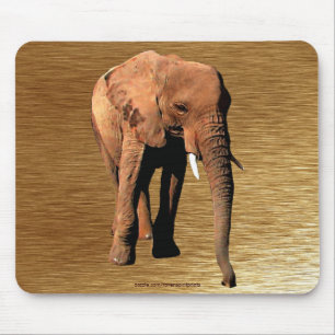 Tapis De Souris African Elephant Wildlife Supporter Mousepad