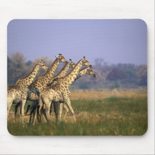 Tapis De Souris Afrique, Botswana, Réserve de gibier de Moremi