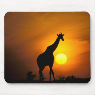 Tapis De Souris Afrique, Kenya, Masai Mara. Girafe (Giraffa
