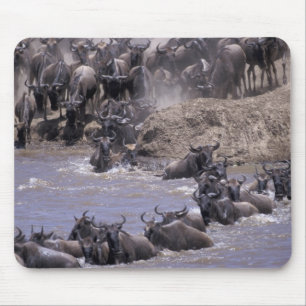 Tapis De Souris Afrique, Kenya, Parc national Masai Mara.