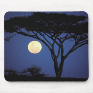 Tapis De Souris Afrique, Tanzanie, Tarangire. Arbre acacia dans