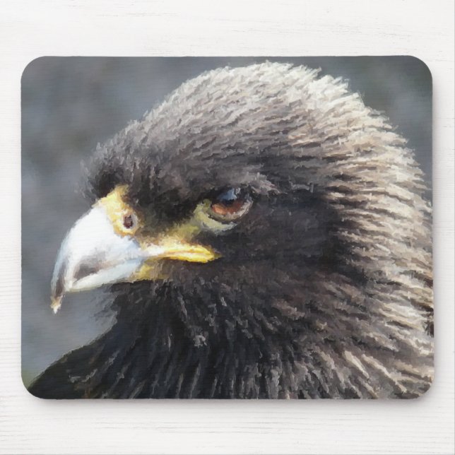 TAPIS DE SOURIS AIGLE (Devant)