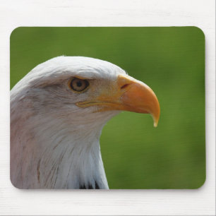 Tapis De Souris Aigle