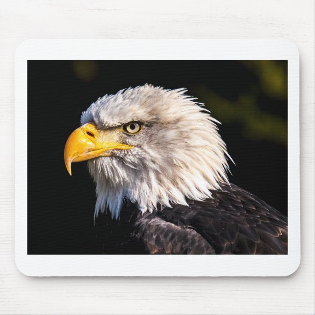 Tapis De Souris Aigle 2 (Devant)