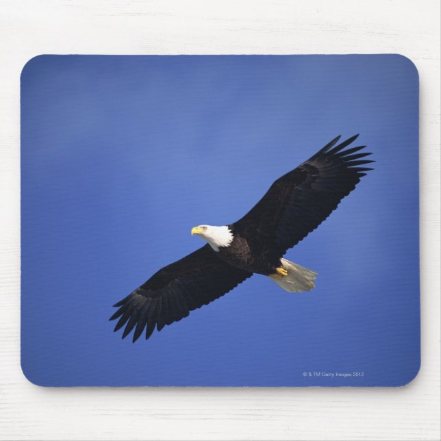 Tapis De Souris Aigle à tête blanche, Alaska (Devant)
