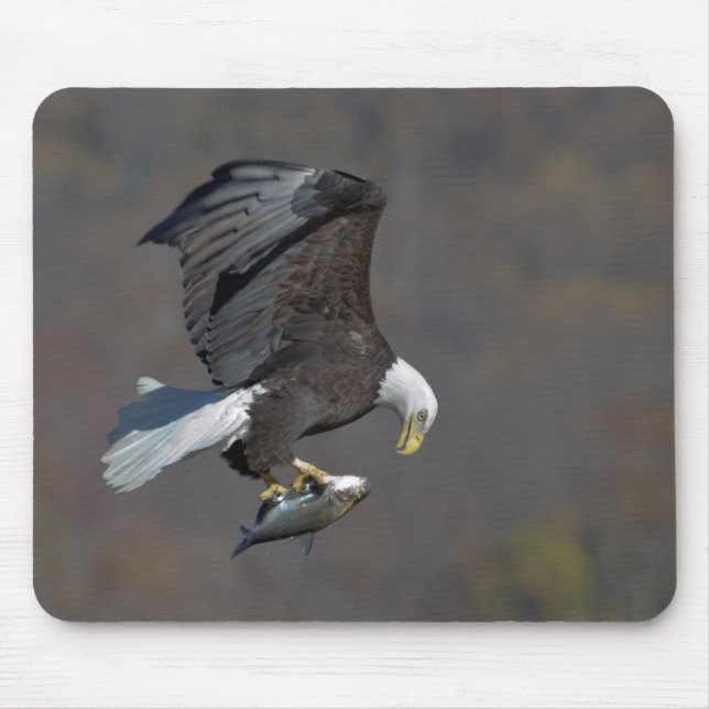 Tapis De Souris Aigle Bald avec un poisson (Devant)