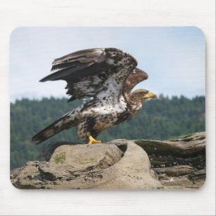 Tapis De Souris Aigle Bald Prêt pour le décollage - pavé souris