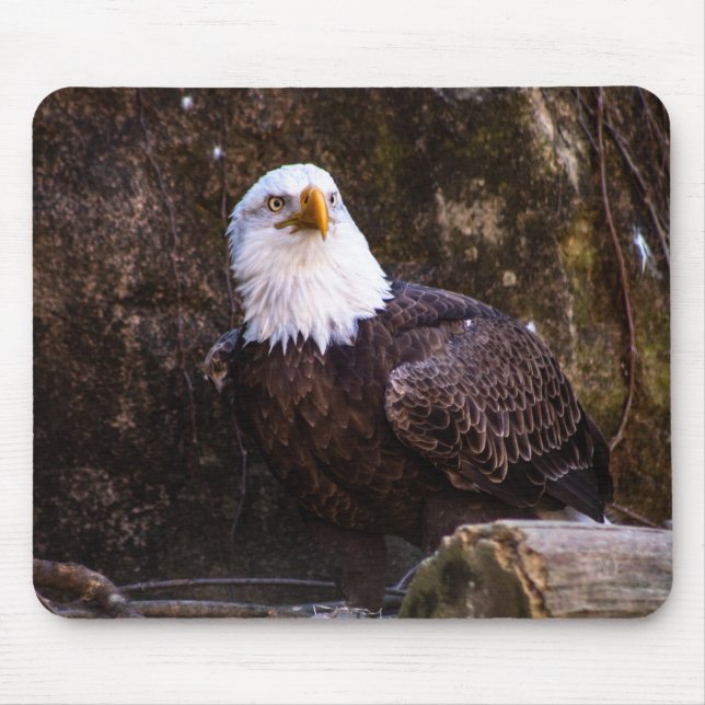 Tapis De Souris Aigle de Bald (Devant)