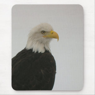Tapis De Souris Aigle de Bald