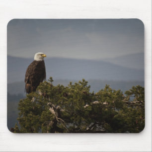 Tapis De Souris Aigle de Bald - Mousepad