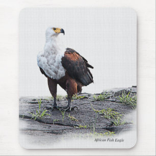 Tapis De Souris Aigle de poisson africain sur arrière - plan blanc