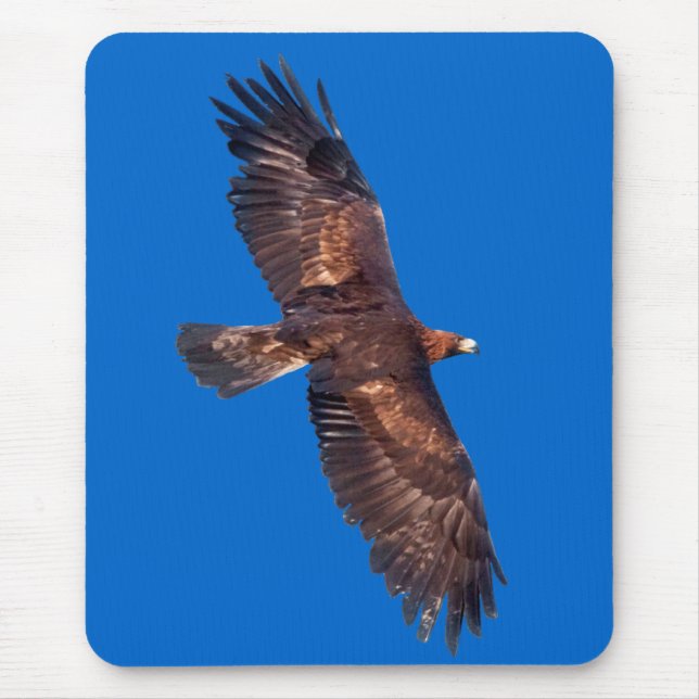 Tapis de souris Aigle royal en vol (Bleu) (Devant)