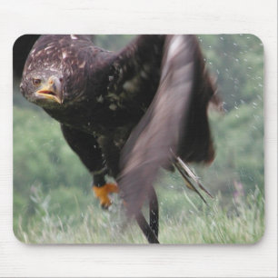 Tapis De Souris Aigle Tawny