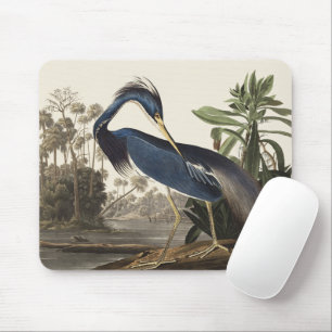 Tapis De Souris Aigrette de Louisiane, oiseau, Art vintage d'Audub