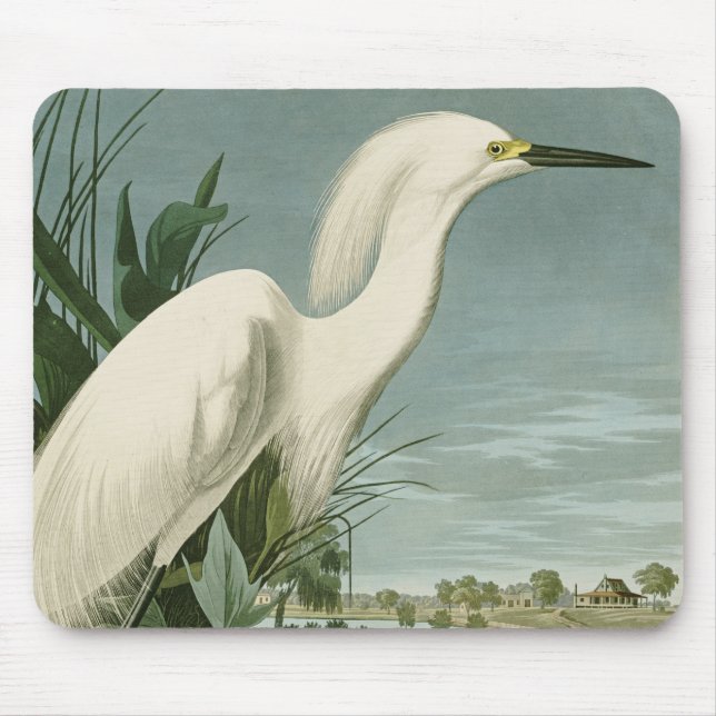 Tapis De Souris Aigrette neigeuse d'Audubon oiseau de rivage (Devant)