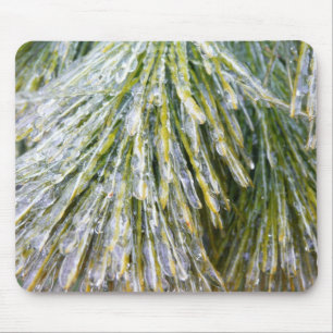 Tapis De Souris Aiguilles de pin recouvert de glace Botanique hive