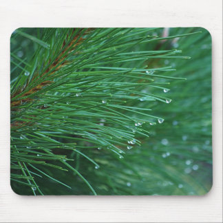 Tapis De Souris aiguilles de pin vert et humide mousepad
