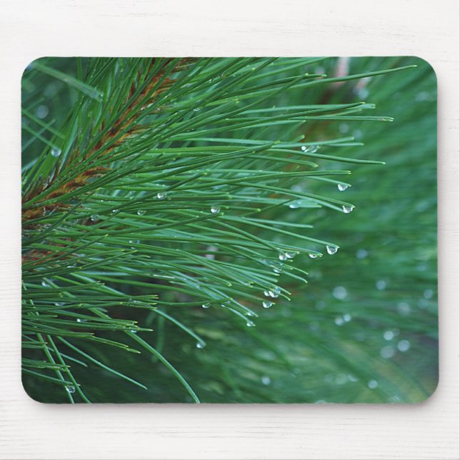 Tapis De Souris aiguilles de pin vert et humide mousepad (Devant)
