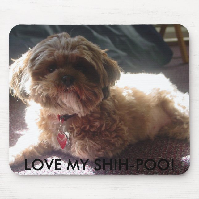 TAPIS DE SOURIS AIMEZ MON SHIH-POO ! (Devant)