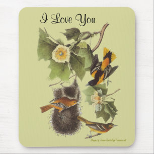 Tapis De Souris Aimez-vous Oiseaux Audubon Personnalisé Mousepad