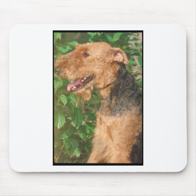 Tapis De Souris Airedale Terrier (Devant)