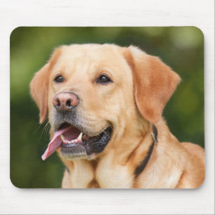 Tapis De Souris Ajouter une photo de chien animal de compagnie per