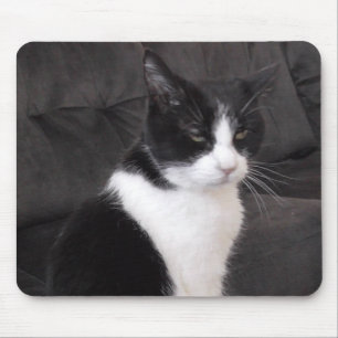 Tapis De Souris Ajoutez la photo de votre animal familier à ceci