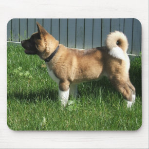 Tapis De Souris Akita mousepad