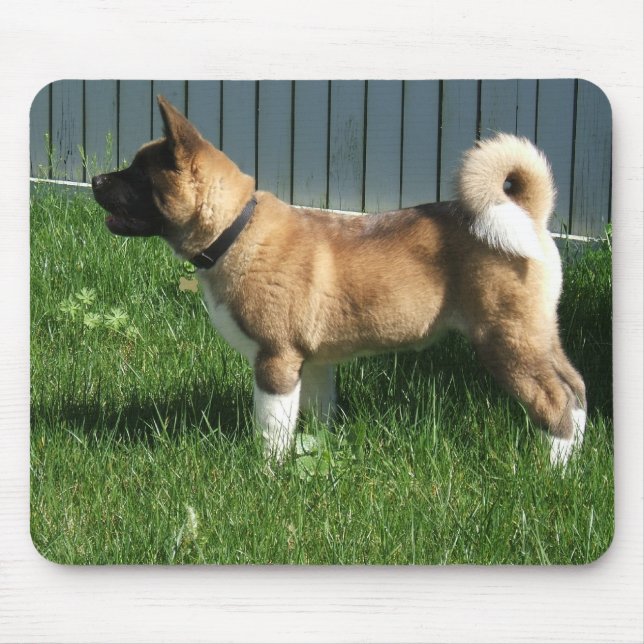 Tapis De Souris Akita mousepad (Devant)