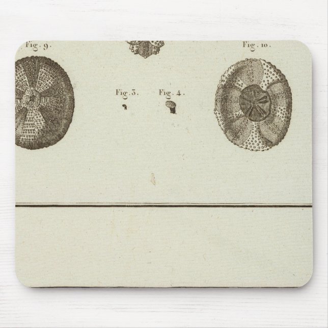 Tapis De Souris Alaska (Devant)