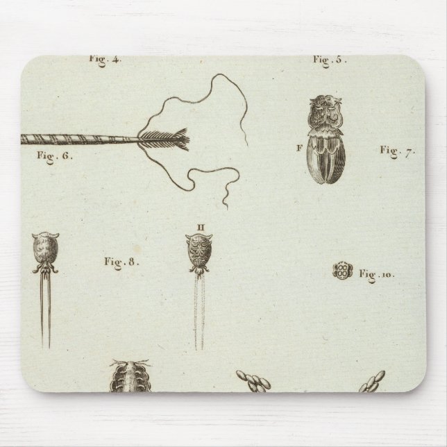 Tapis De Souris Alaska 3 (Devant)