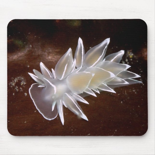 Tapis De Souris Albâtre Nudibranche (Devant)