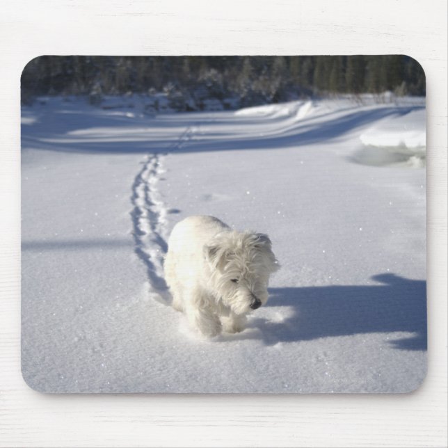 Tapis De Souris Alberta, Canada (Devant)