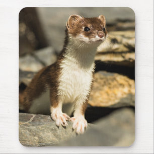 Tapis De Souris Alerte Weasel