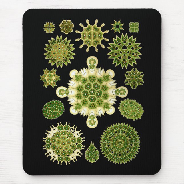 Tapis De Souris Algues vertes (Devant)