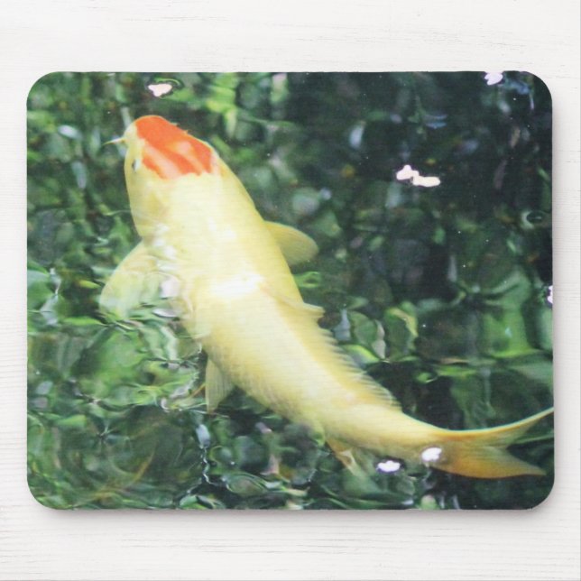 Tapis De Souris Alimentation de Tancho Koi (Devant)