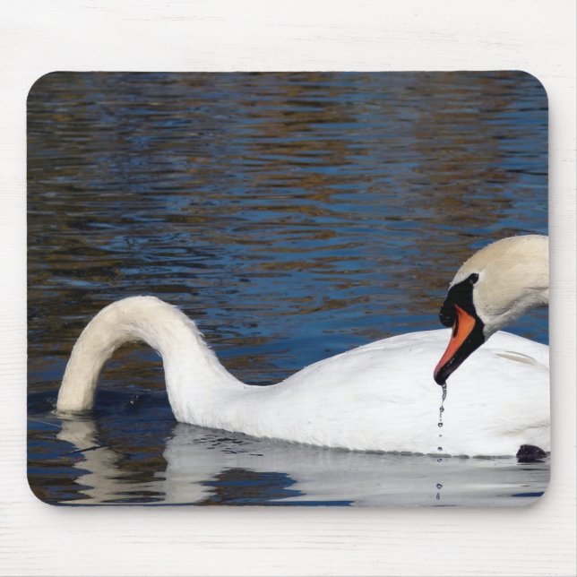 Tapis De Souris Alimentation des cygnes (Devant)