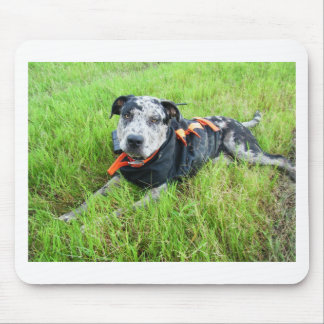Tapis De Souris alldogscatch