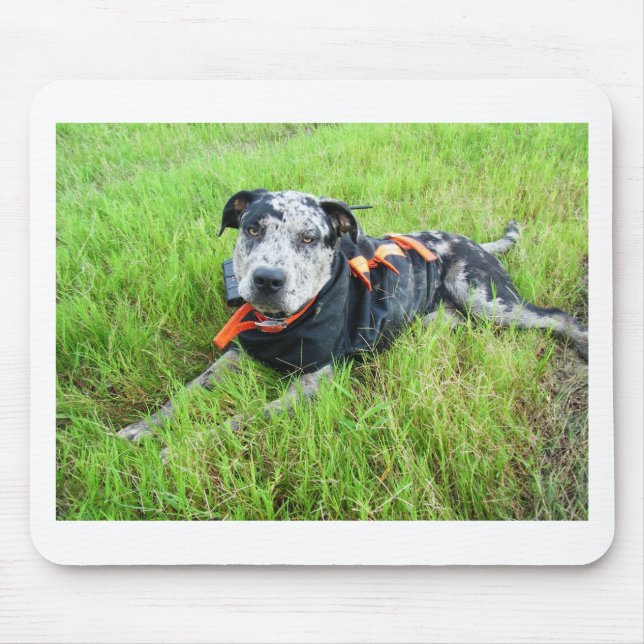 Tapis De Souris alldogscatch (Devant)