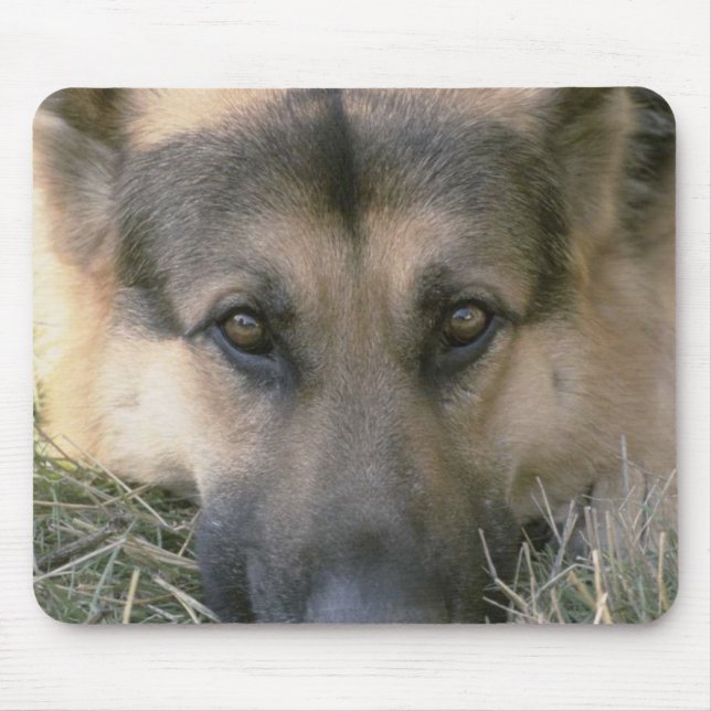 Tapis De Souris Allemand Shepard (Devant)
