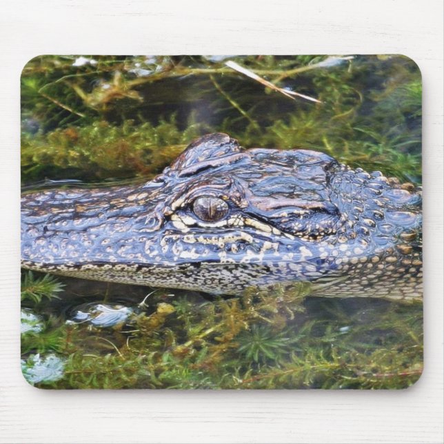 Tapis De Souris Alligator (Devant)