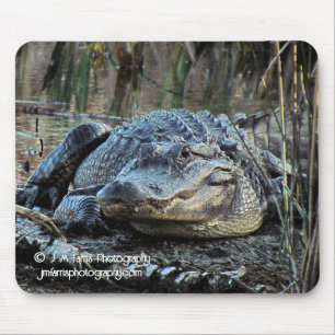 Tapis De Souris Alligator