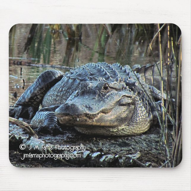 Tapis De Souris Alligator (Devant)