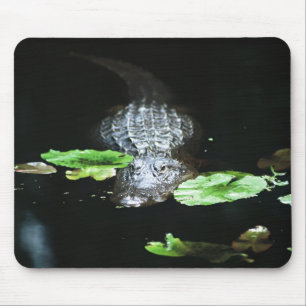 Tapis De Souris Alligator