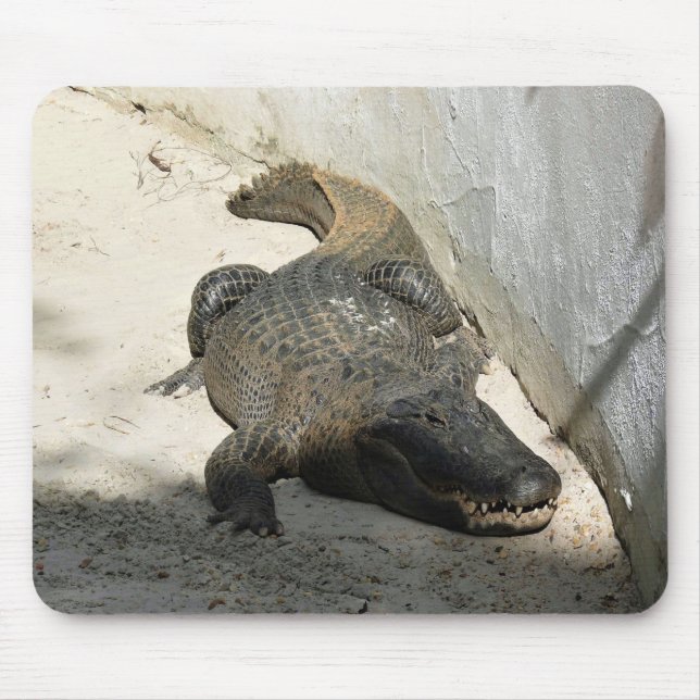 Tapis De Souris Alligator, Fort Lauderdale, Floride (Devant)