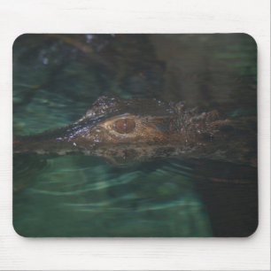 Tapis De Souris Alligator Mousepad