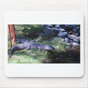 Tapis De Souris Alligator ! ! Zoo Animaux design